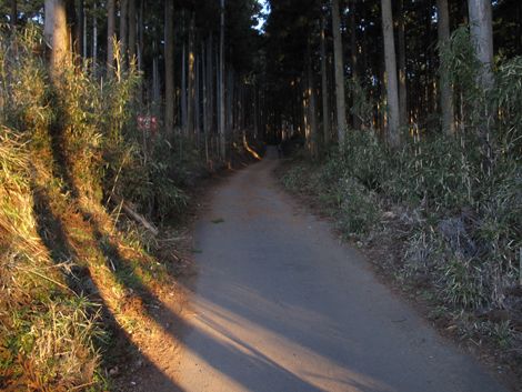 20170118hike (7)